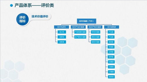 智信九鼎技術(shù)價(jià)值評(píng)價(jià) 軟件技術(shù)推廣服務(wù)的專業(yè)賦能