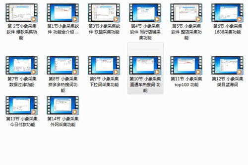 小象搬家與上貨代購軟件 賦能拼多多無貨源店群項目的技術利器與招商機遇